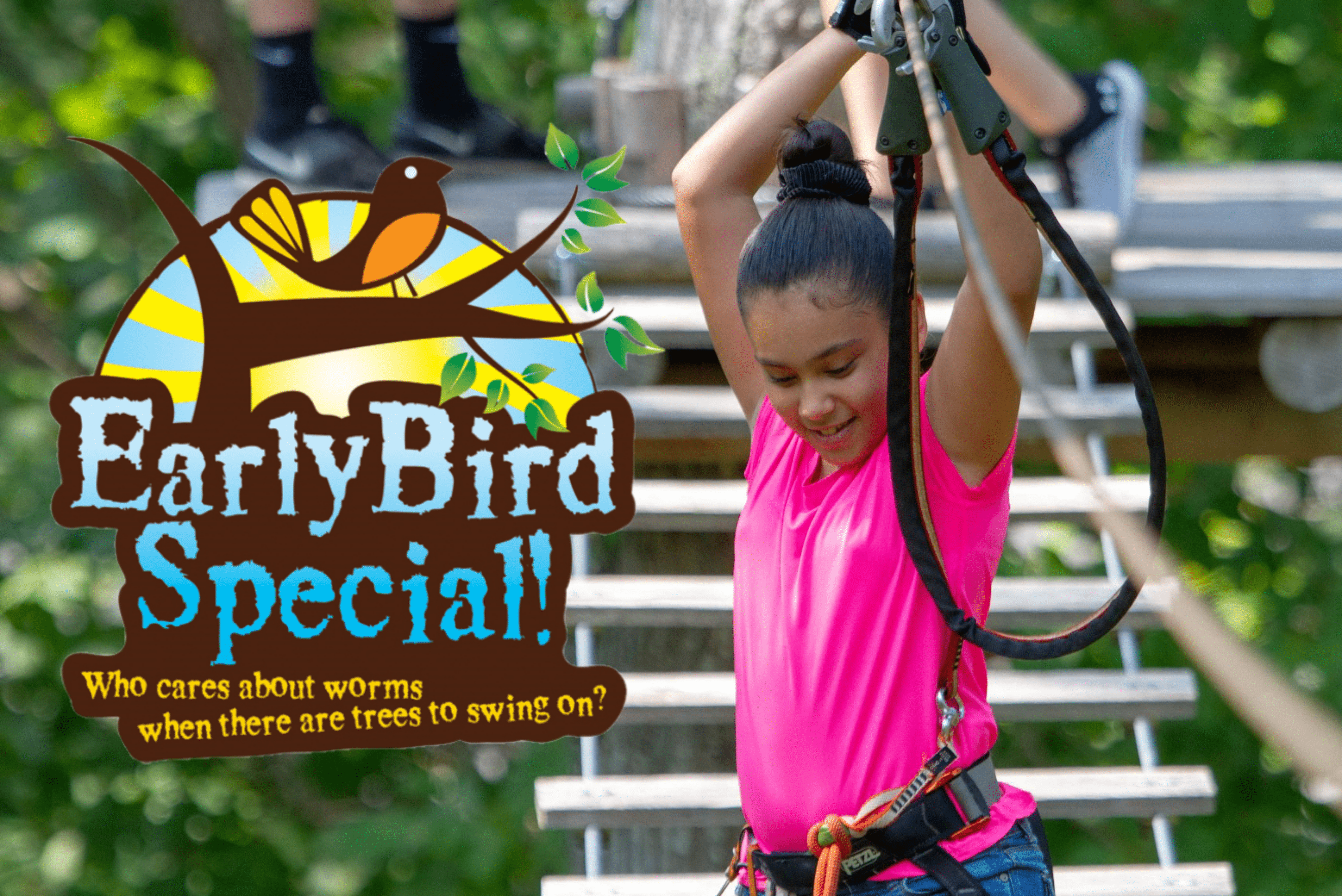 Early Bird Admission to Tree to Tree Cape May's Aerial Obstacle Courses