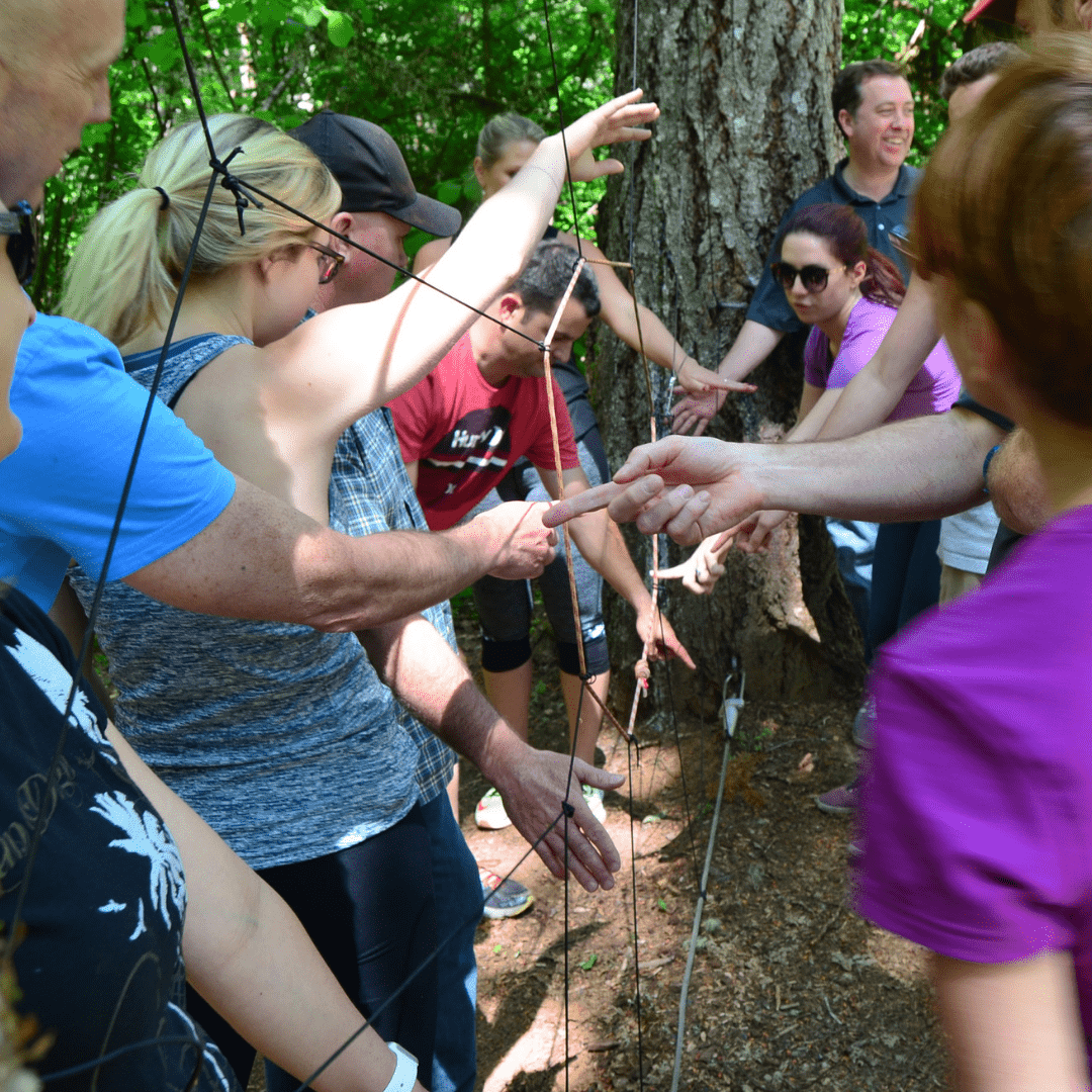 Team Building at Tree to Tree Adventure Park. The spider web challenge!